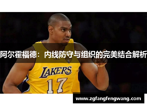 阿尔霍福德：内线防守与组织的完美结合解析
