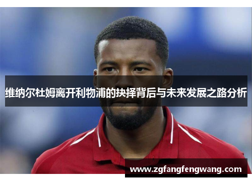 维纳尔杜姆离开利物浦的抉择背后与未来发展之路分析