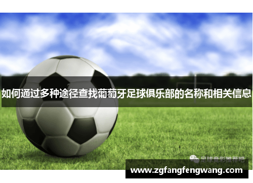 如何通过多种途径查找葡萄牙足球俱乐部的名称和相关信息